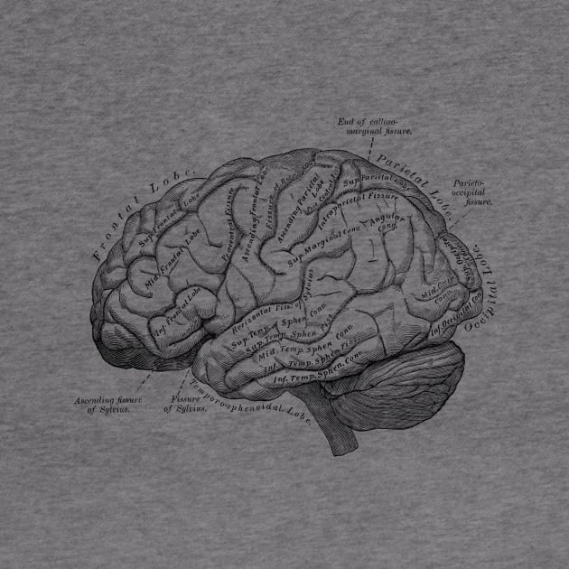 Human Body - Brain vol.3 by be yourself. design